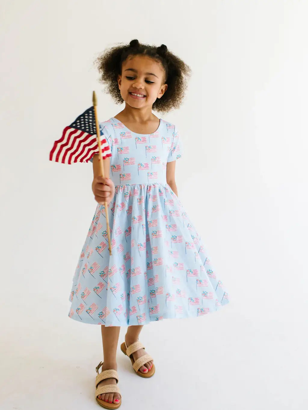 Classic Twirl Dress in Blue Flags
