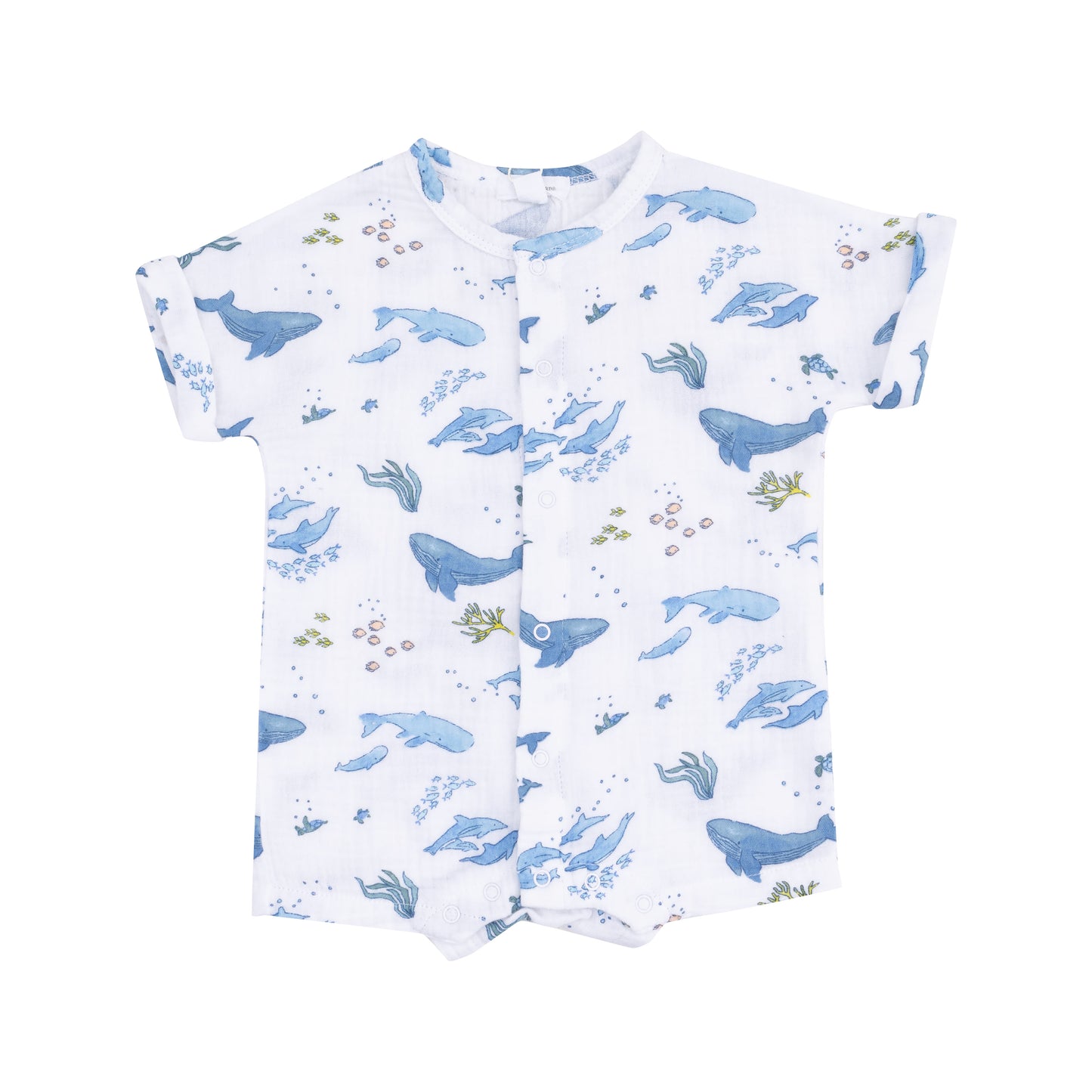 Dolman Henley Shortall, Watercolor Blue Whales