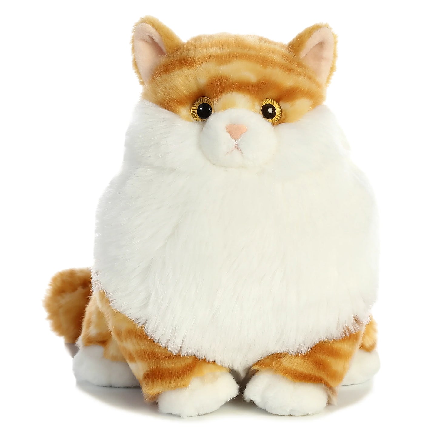 Fat Cats - Butterball Tabby