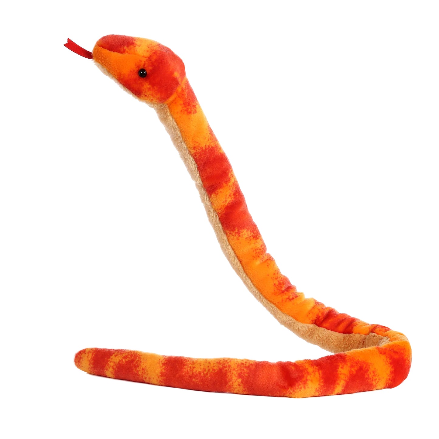 Corn Snake - 50"