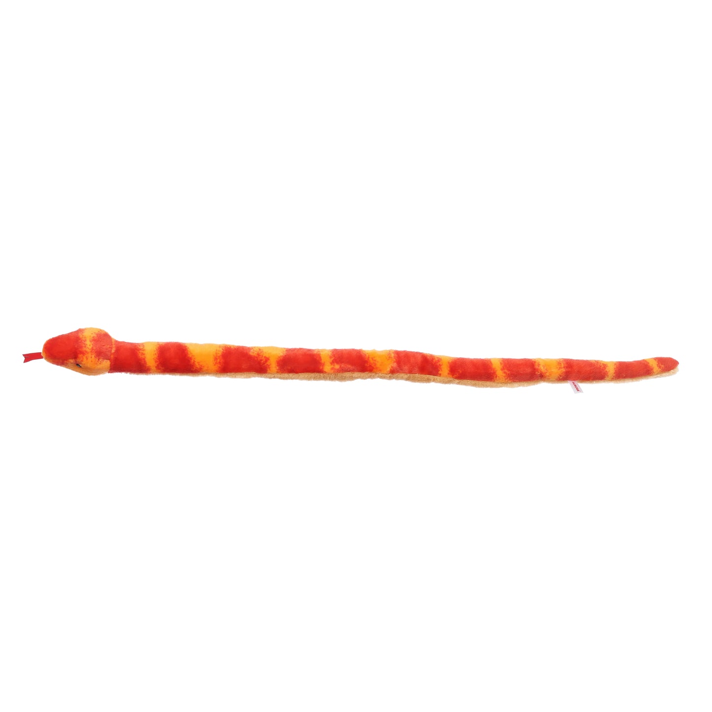 Corn Snake - 50"