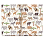 On Safari Gift Wrap Roll