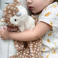 Fiona the Fawn Blankie