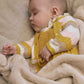 Knit Overall, Shirt and Sweater Set, 2674