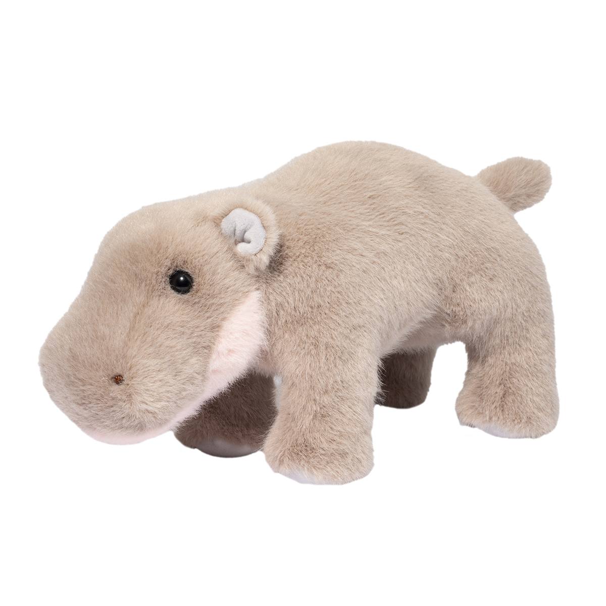 Pygmy Hippo, Nibbles