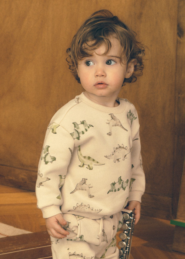 Dinosaur Printed Crewneck Sweatshirt, 2416