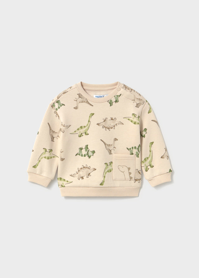 Dinosaur Printed Crewneck Sweatshirt, 2416