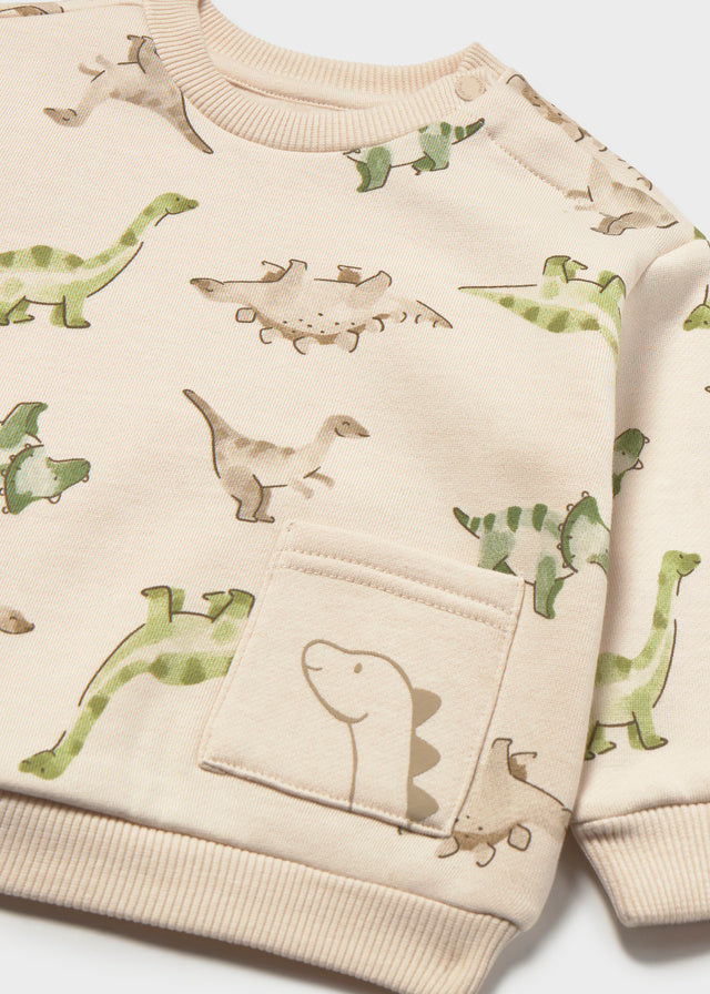 Dinosaur Printed Crewneck Sweatshirt, 2416