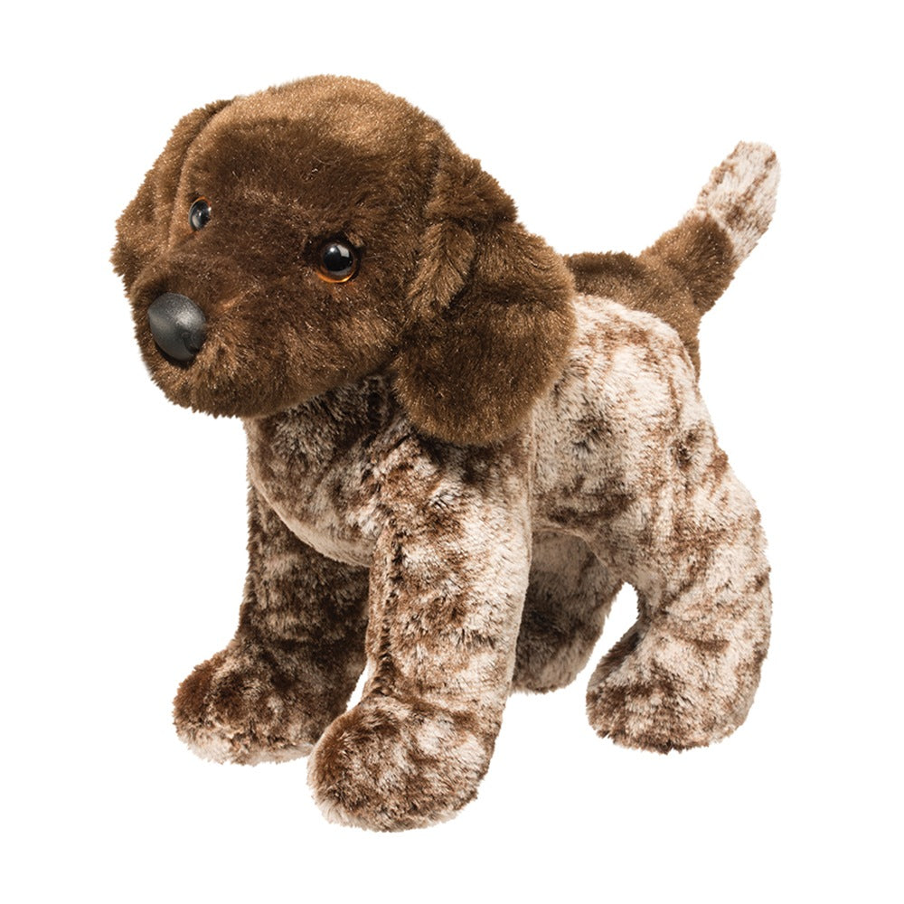 German Pointer - Ivan