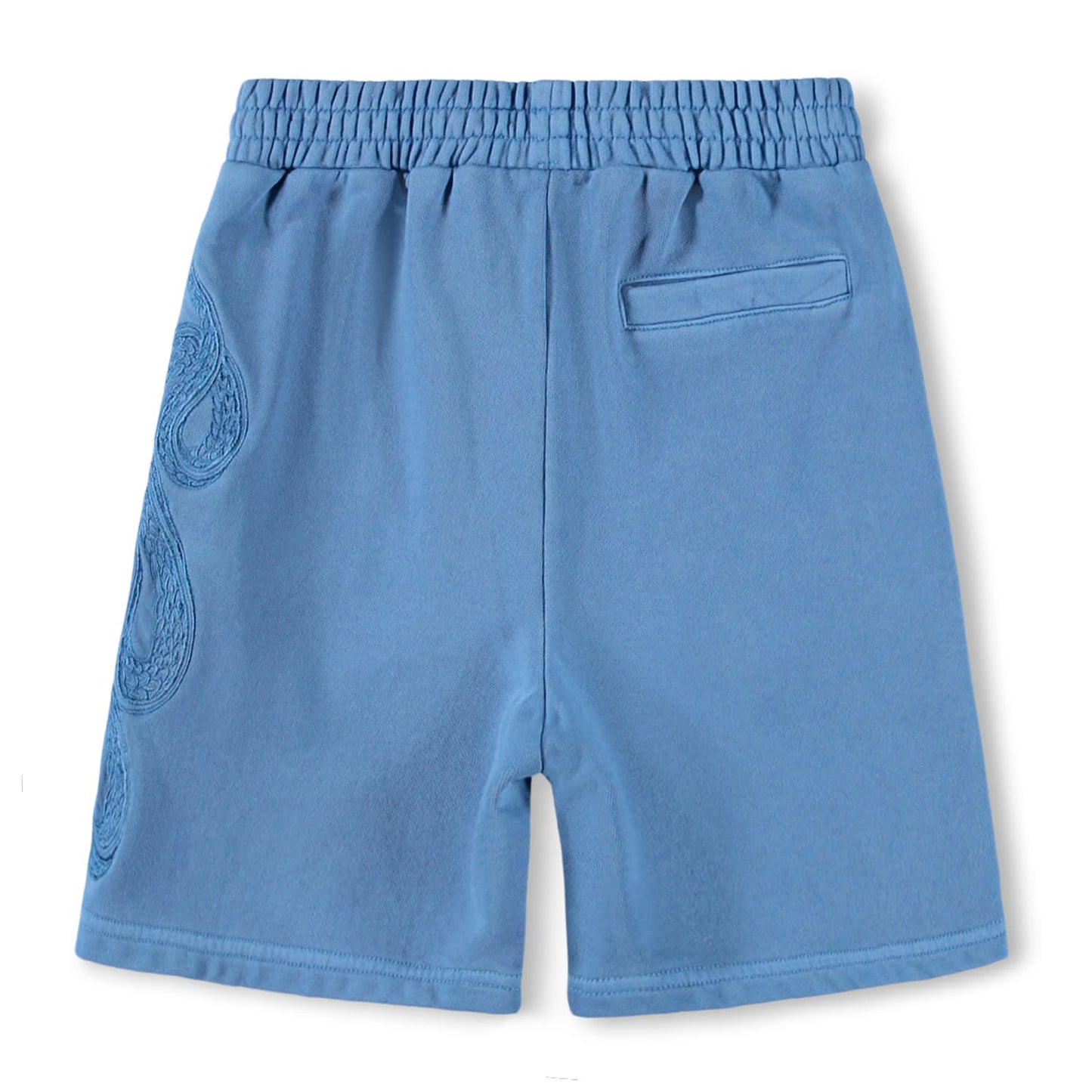 Ador Shorts, Swell Blue
