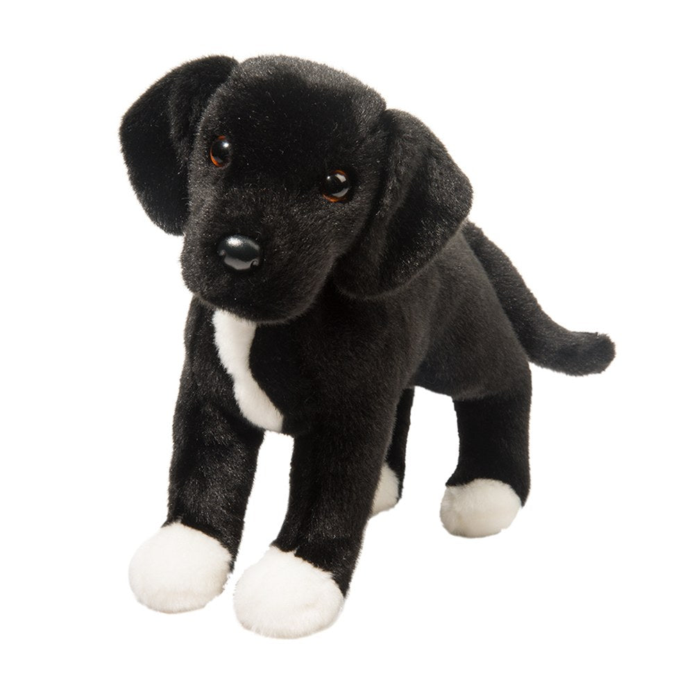 Twister Black Lab/Pit Mix
