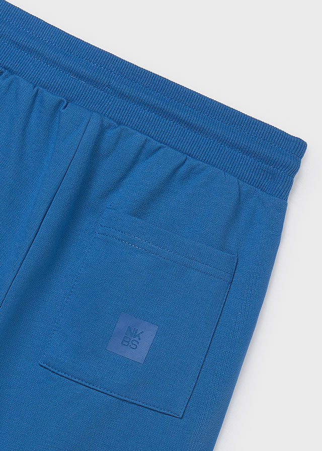 Fleece Shorts, Blue, 600
