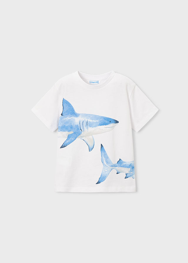 S/S Tee, Sharks, 3080