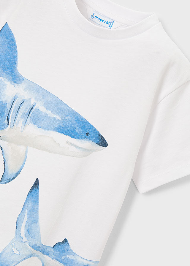 S/S Tee, Sharks, 3080