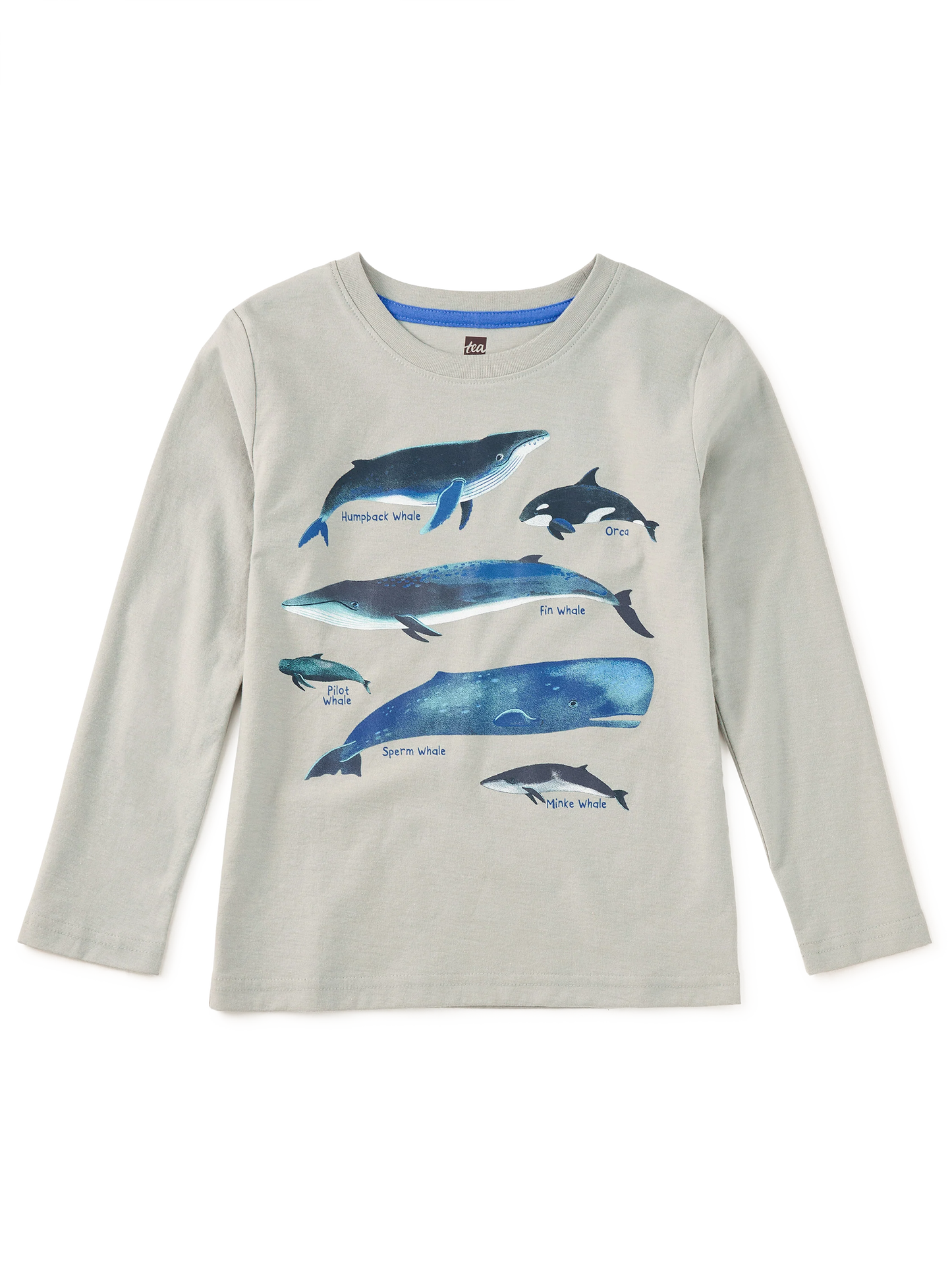 L/S Graphic Tee, Whale Discovery