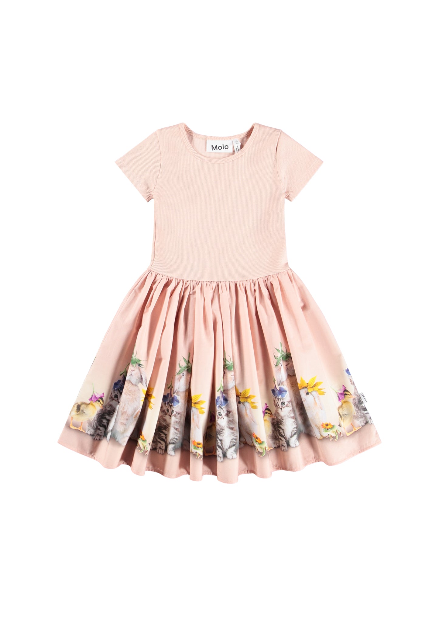Cissa Dress, Photobooth