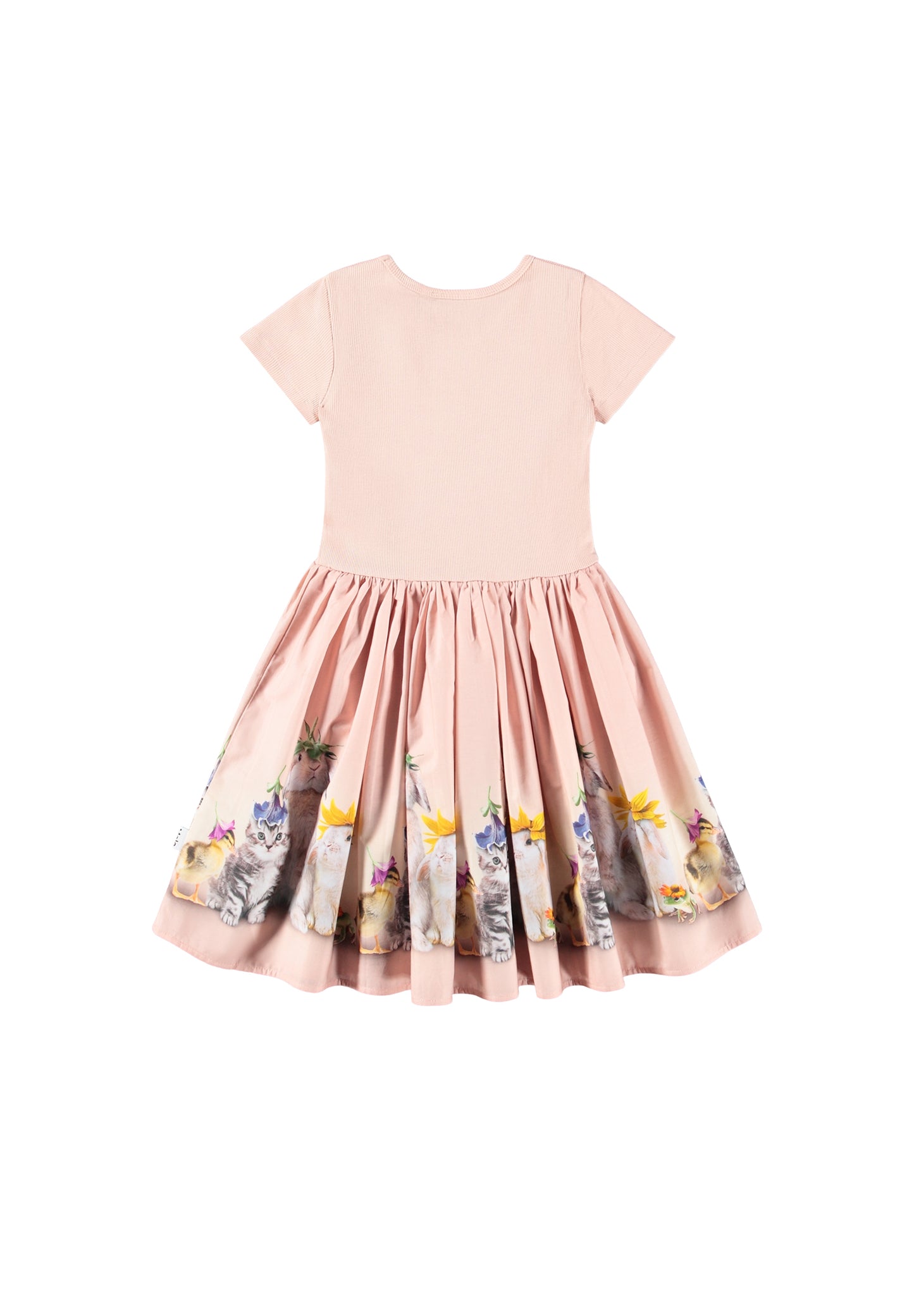 Cissa Dress, Photobooth