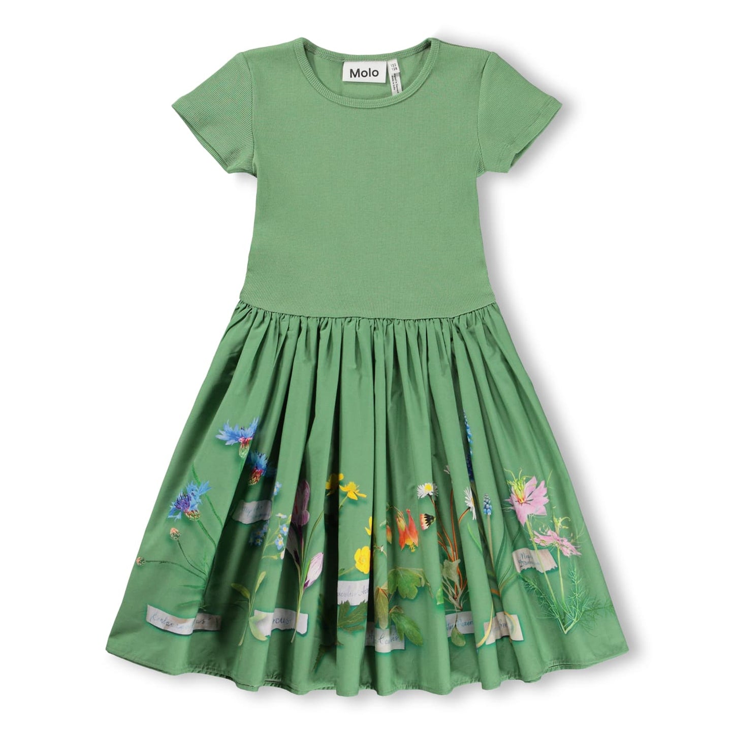 Cissa Dress, Floral Collector