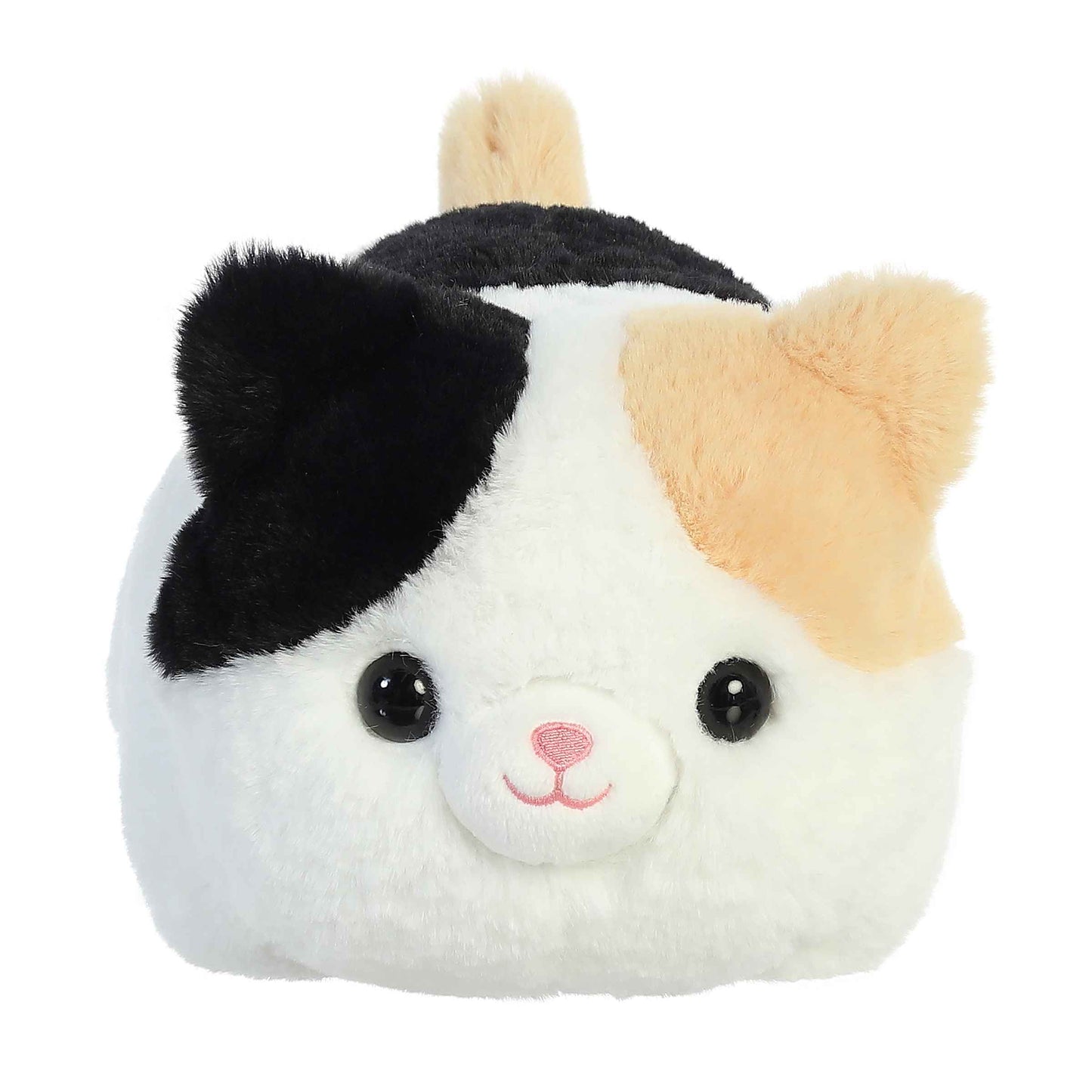 Spudster - Callie Cat