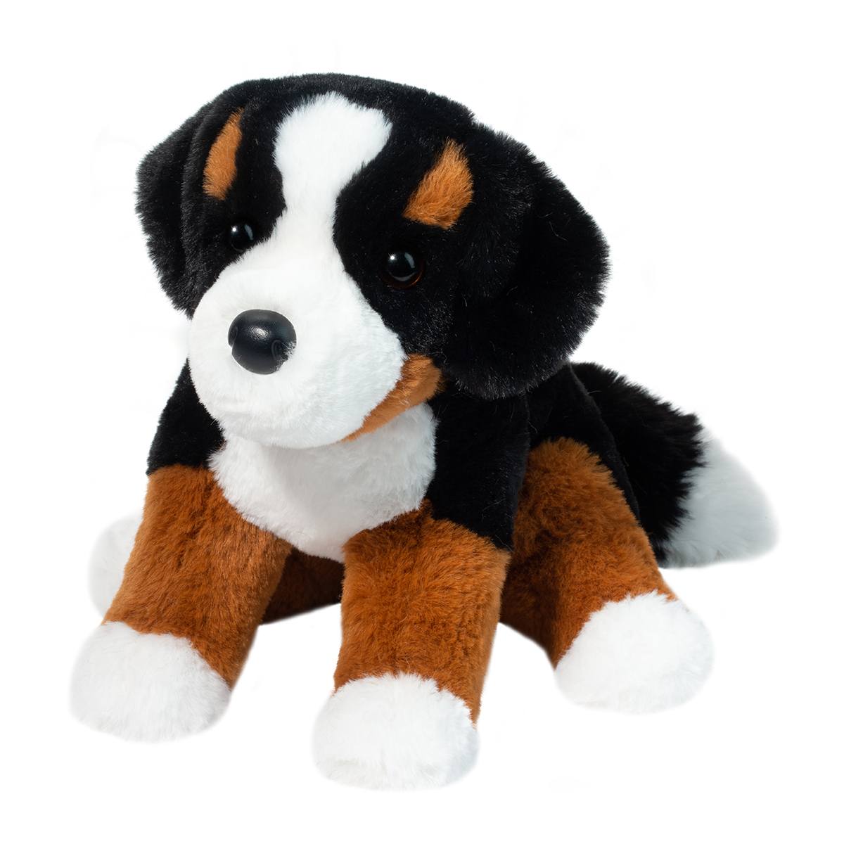 Bernese Mountain Dog - Bowie