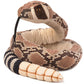 Rambo the Rattlesnake