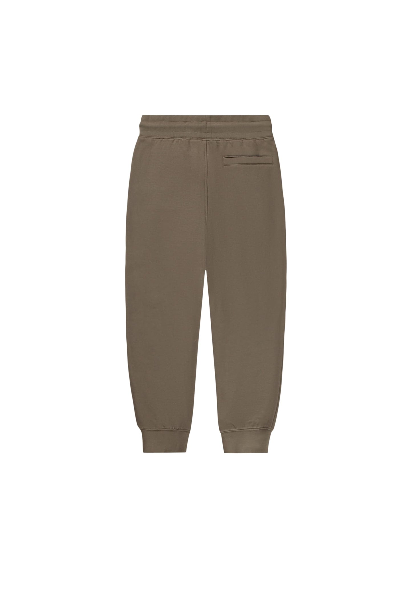 Alvar Joggers, Ground
