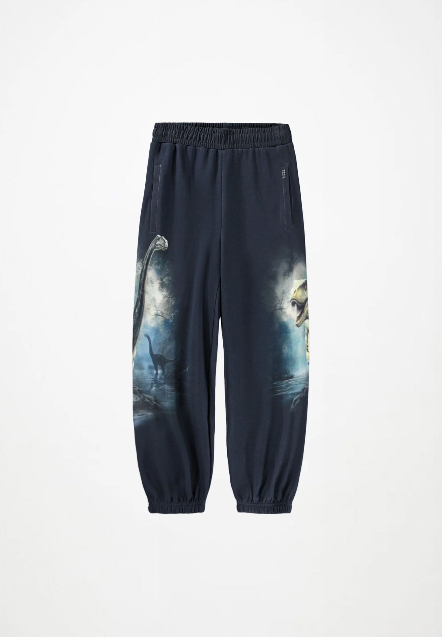 Aimon Pants, Twilight Dinos