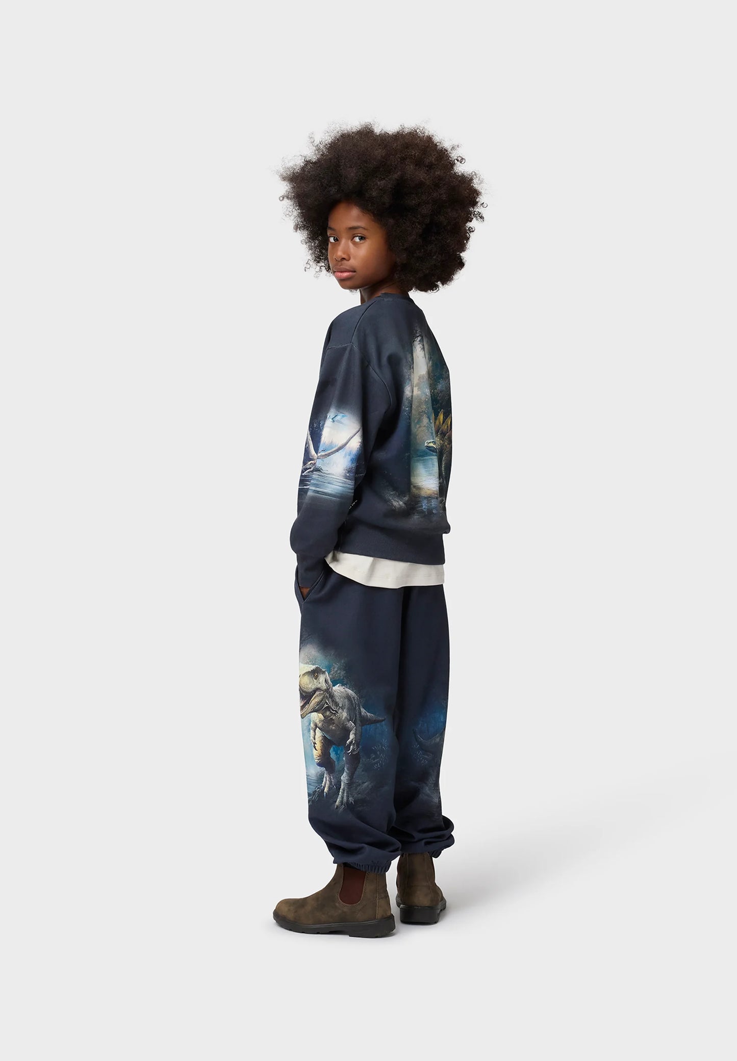 Aimon Pants, Twilight Dinos