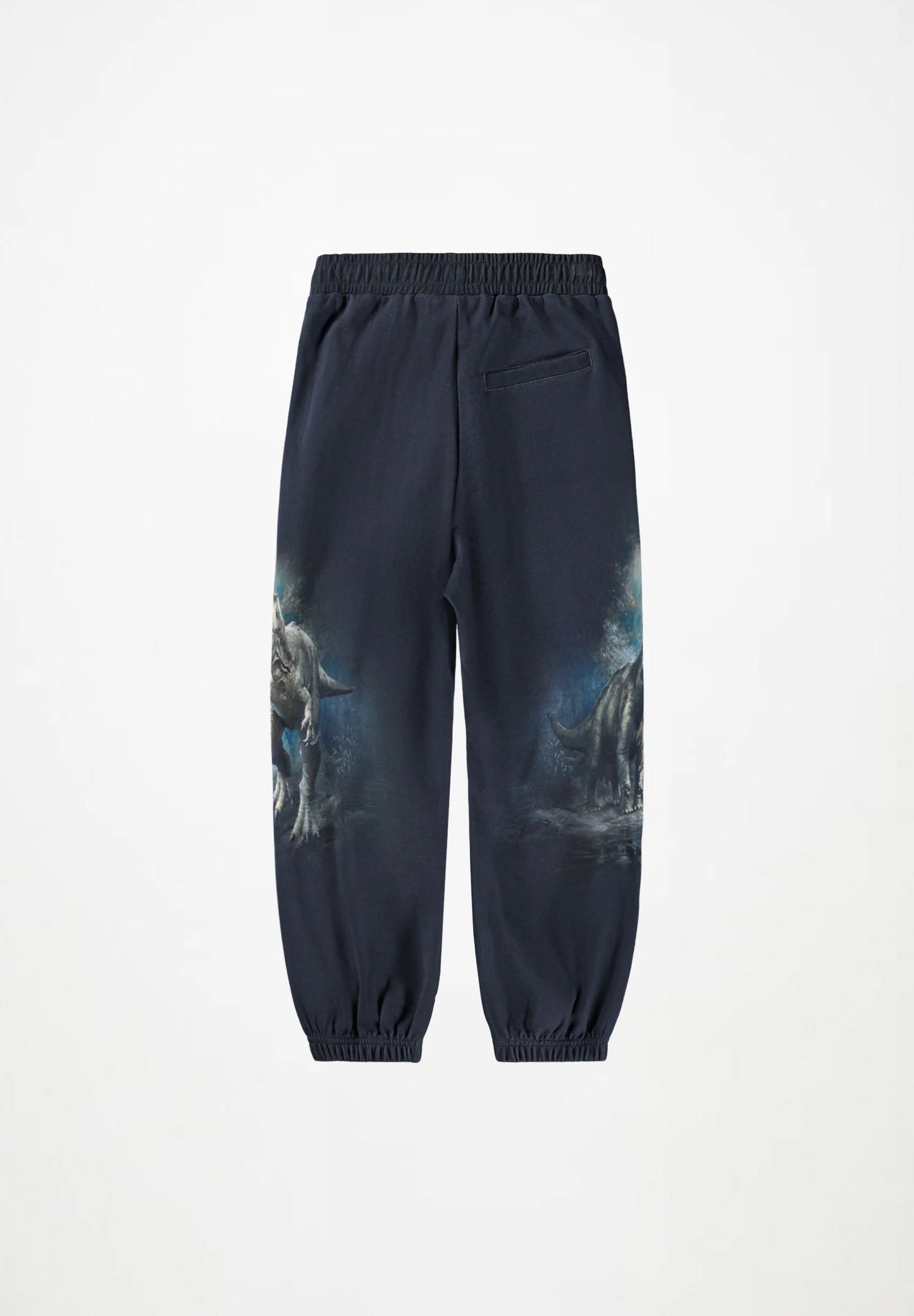 Aimon Pants, Twilight Dinos