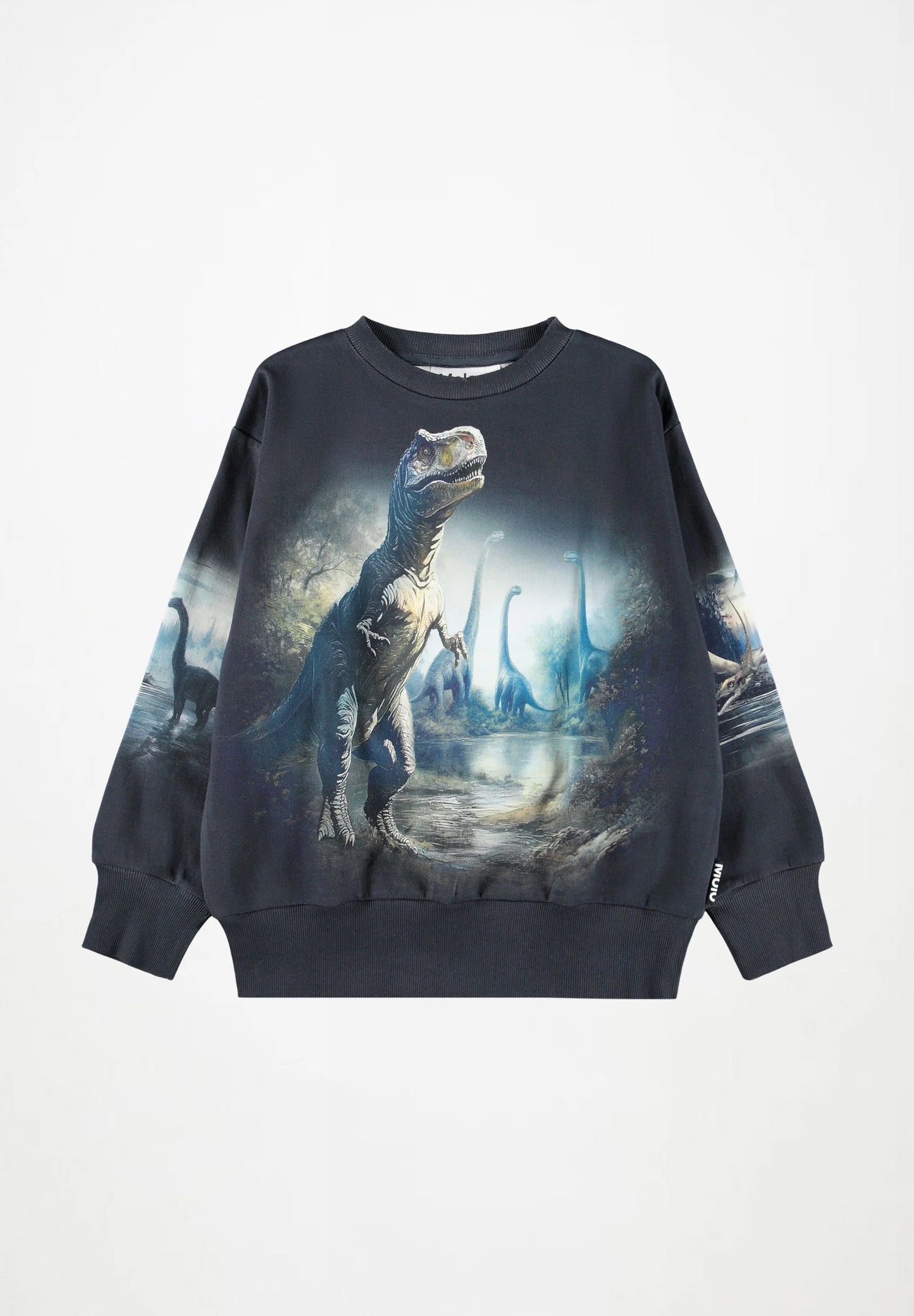 Mattis Sweatshirt, Twilight Dinos