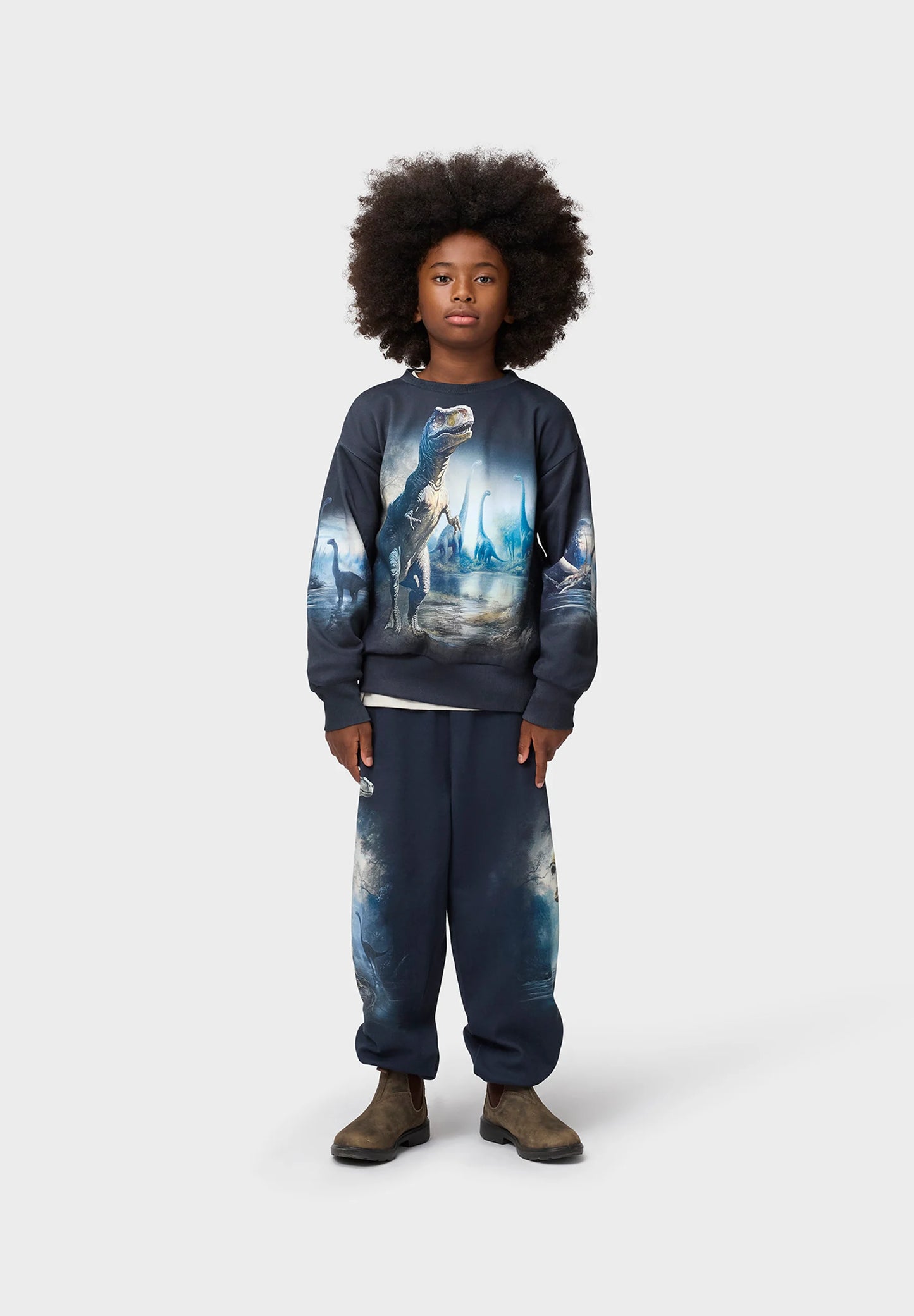 Mattis Sweatshirt, Twilight Dinos