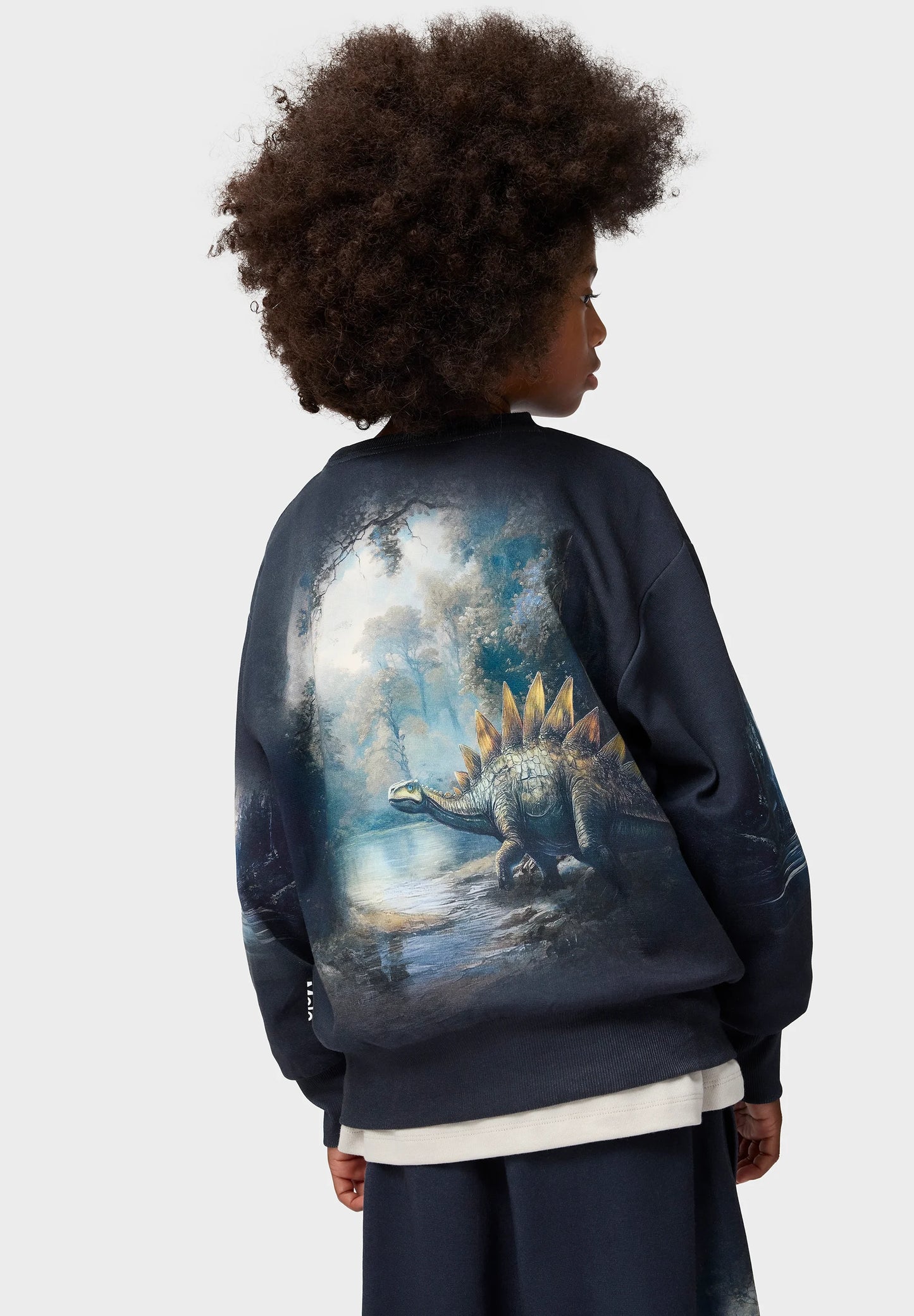 Mattis Sweatshirt, Twilight Dinos