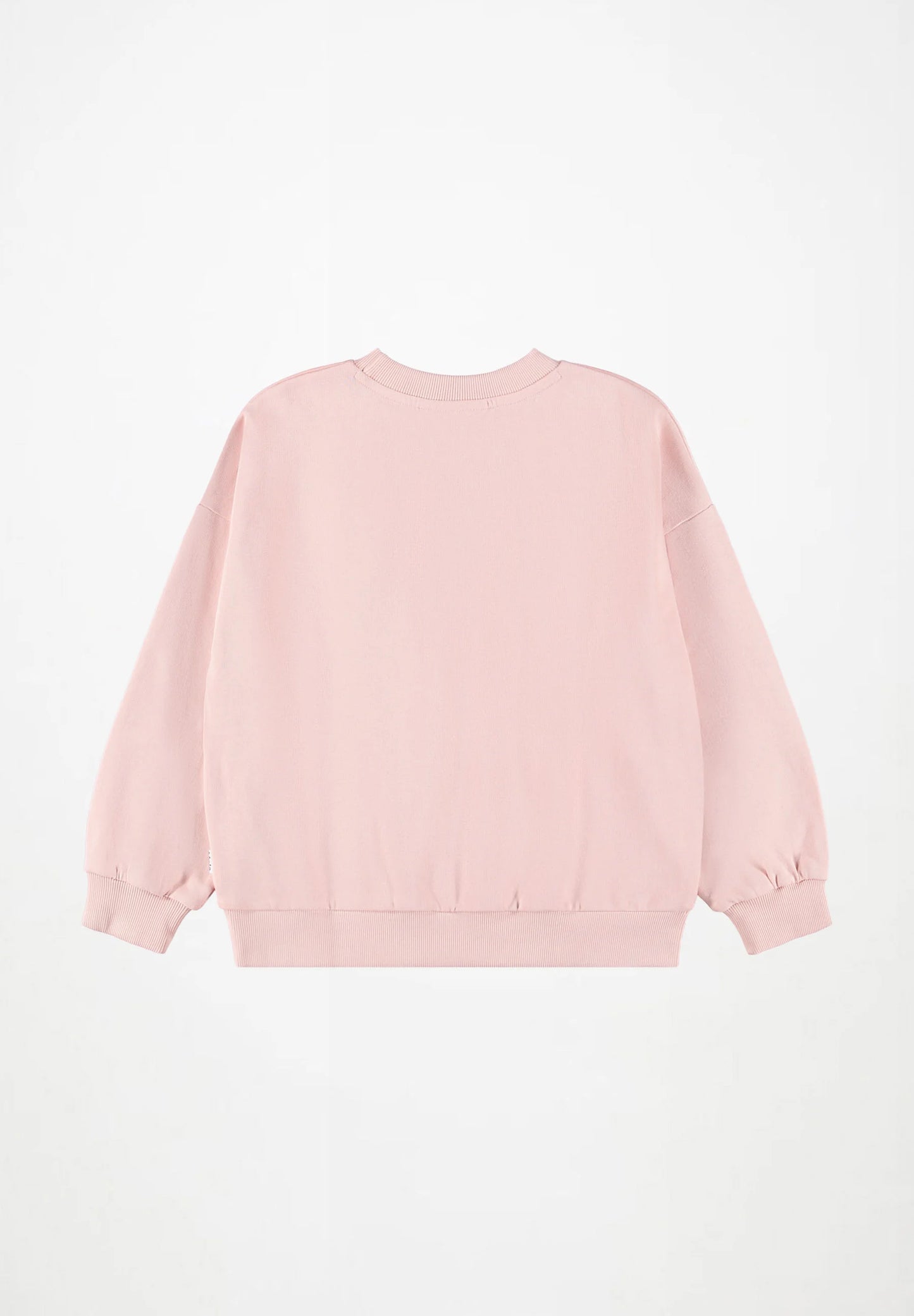 Maxi Sweatshirt, Nature Explorer