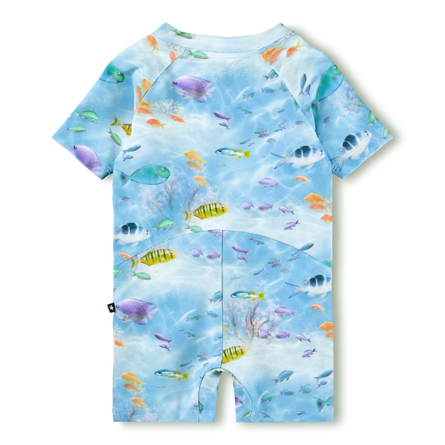 Neka One-Piece Swimsuit, Rainbow Sea