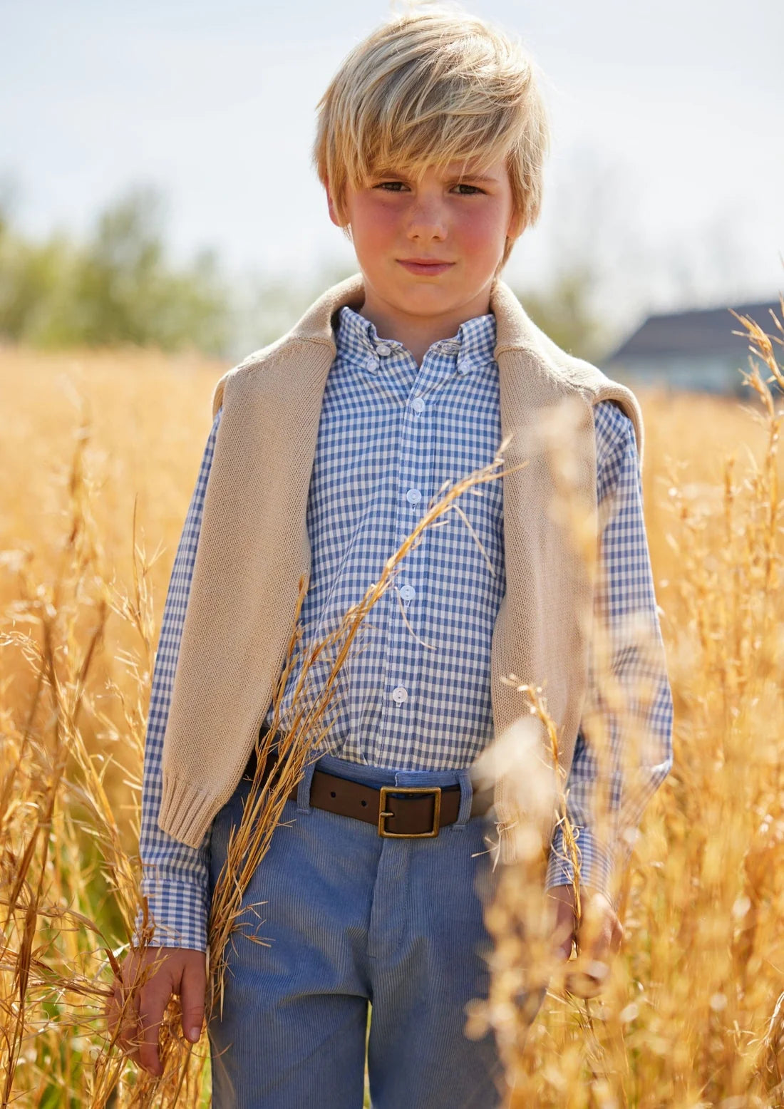 Button Down Shirt, Gray Blue Gingham