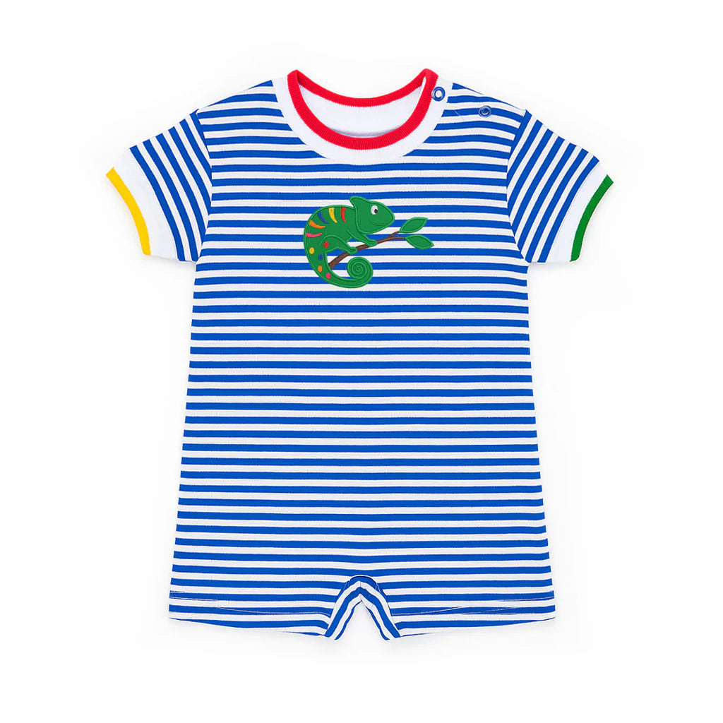 Stripe Knit Shortall w/Lizard