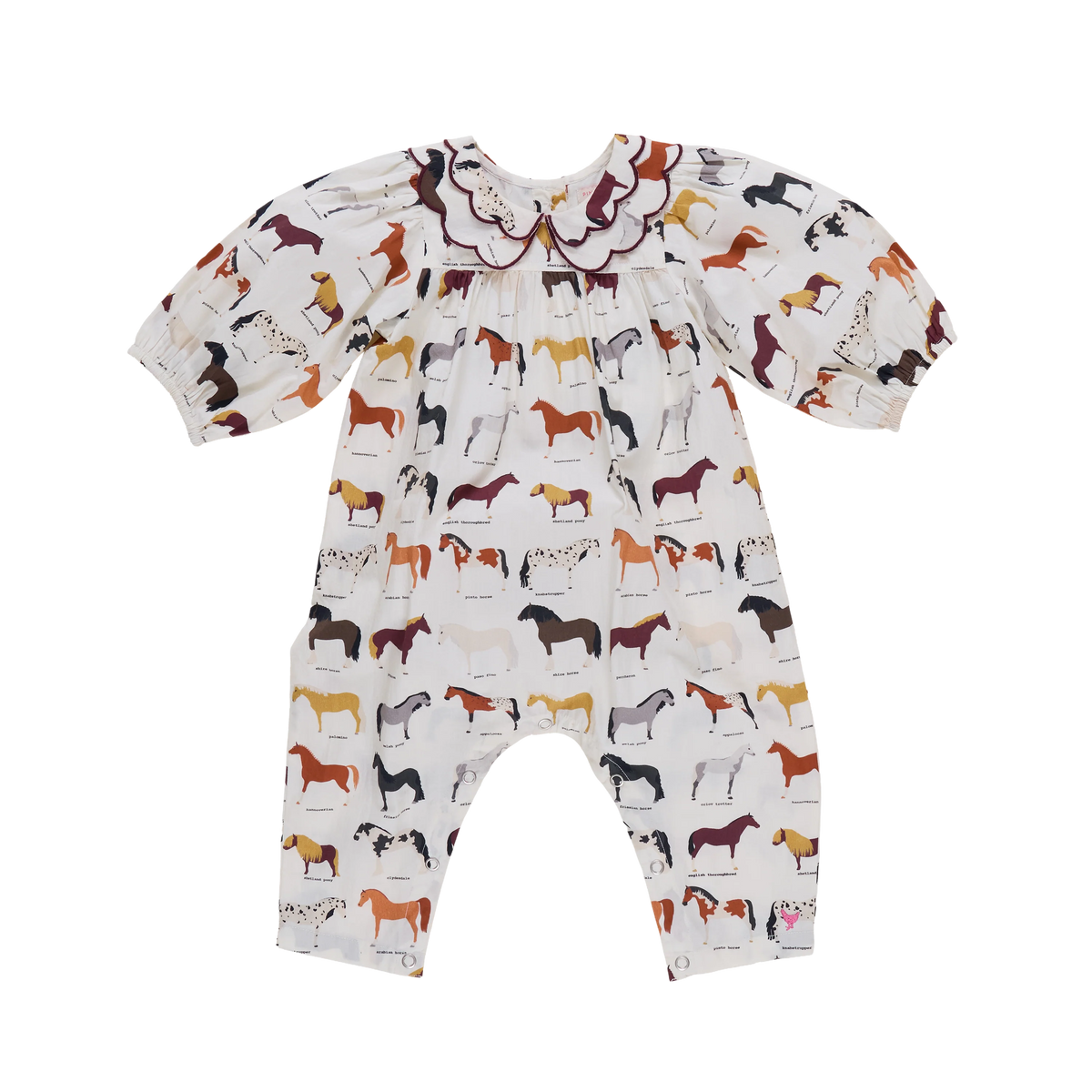 Darcy Jumper, Horse Breeds
