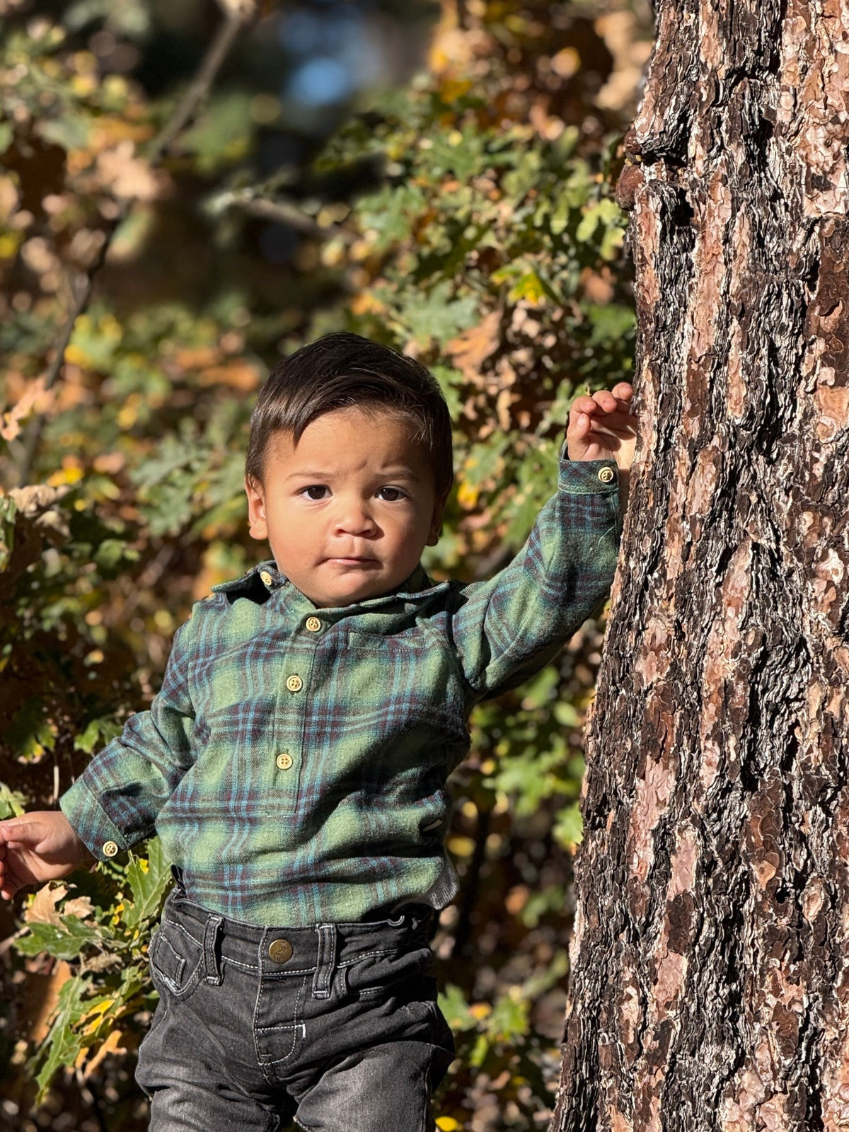 Woven Onesie and Shirt, Green/Teal Plaid