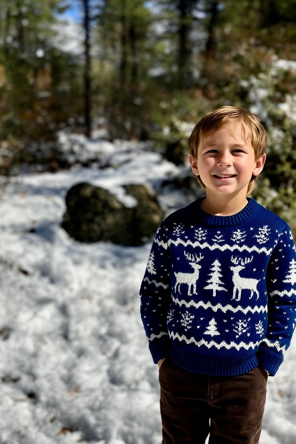WOODY Sweater, Reindeer