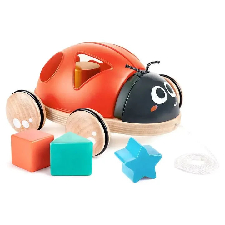 Shape Sorter, Ladybug