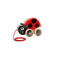 Ladybug Pull-Along
