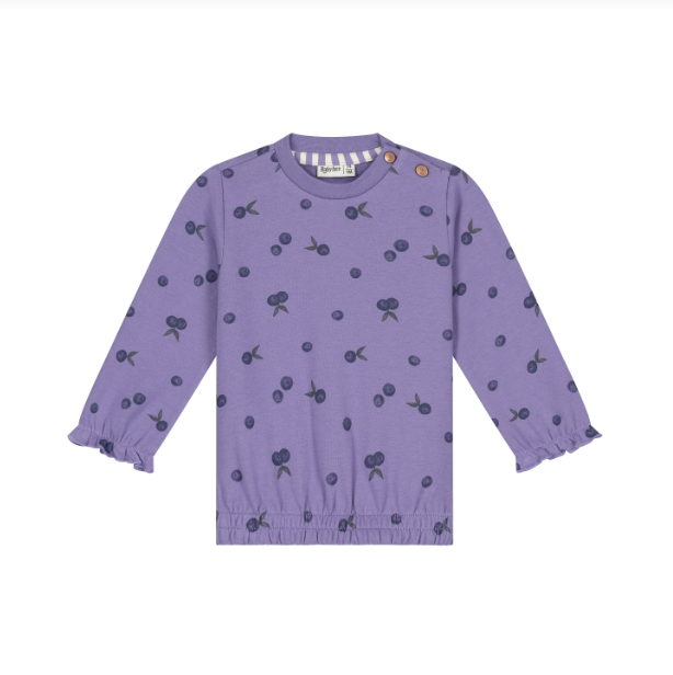 Baby Sweatshirt, Faded Plum