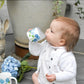 Hydrangea Sippy Cup