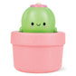 Bath Pop-Up, Cactus