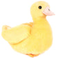 Dani the Duckling
