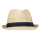 Navy Trim Fedora