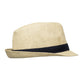 Navy Trim Fedora