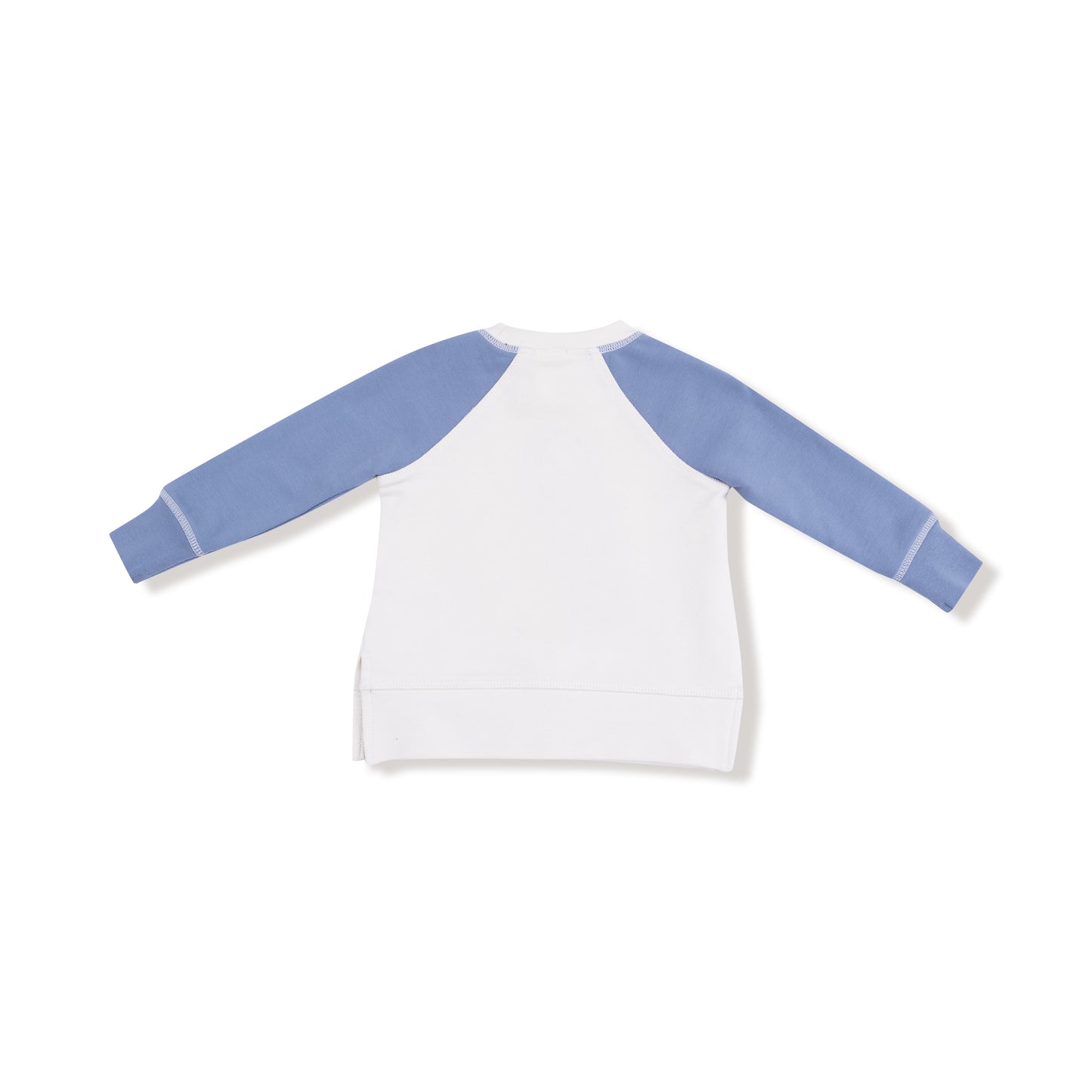 Raglan Sweatshirt and Jogger Set, Country Calico