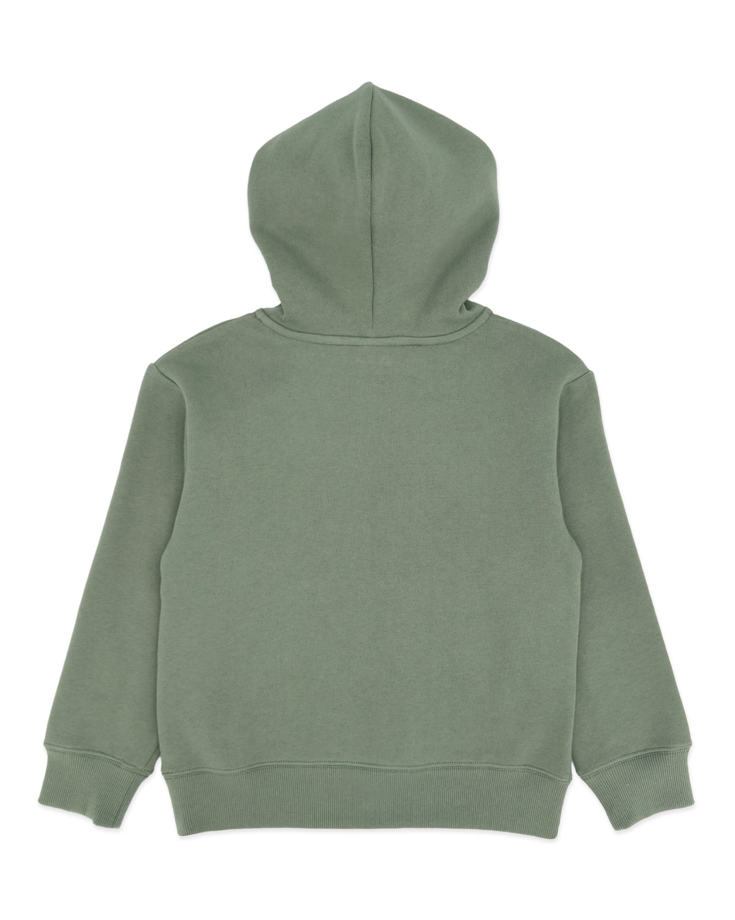 Hadley Fish Hoody, Sage
